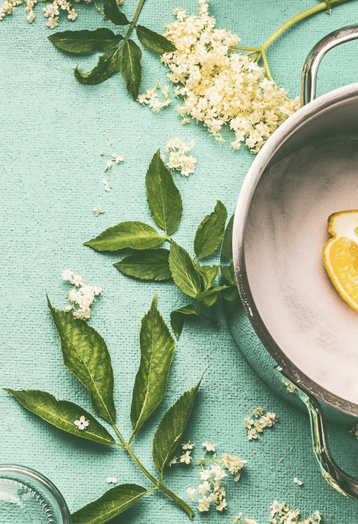 Ingredients for LifeVantage® Daily Wellness™