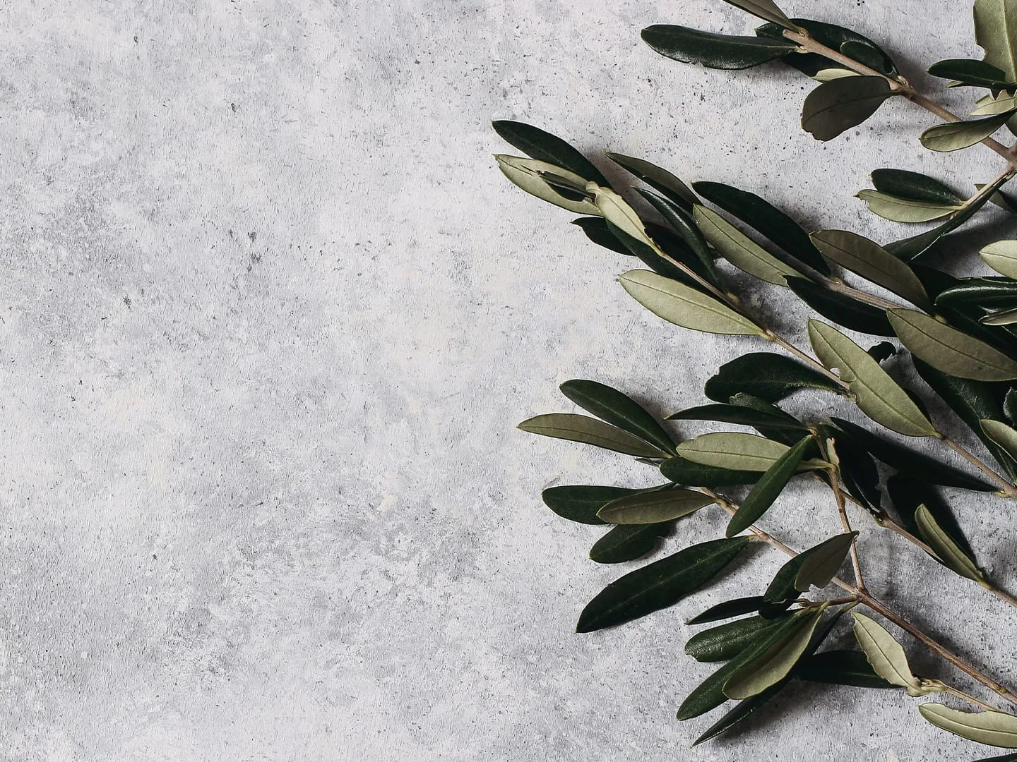 Label background for Protandim® NAD+ Synergizer